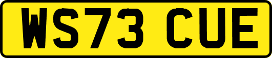WS73CUE