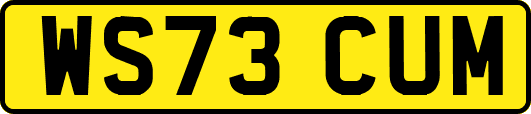 WS73CUM