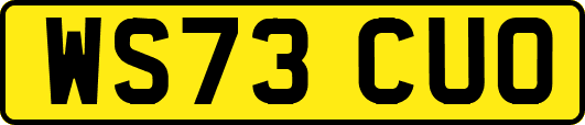 WS73CUO