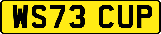 WS73CUP