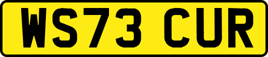 WS73CUR