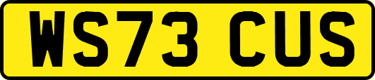 WS73CUS