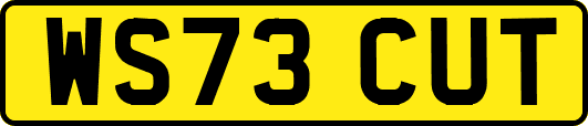 WS73CUT