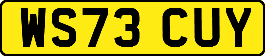 WS73CUY