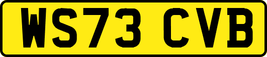WS73CVB