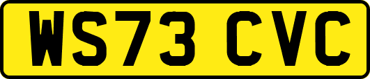 WS73CVC