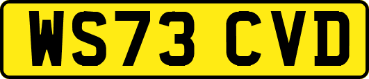 WS73CVD