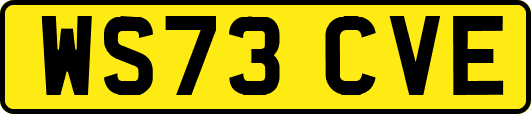 WS73CVE