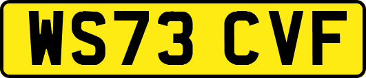 WS73CVF