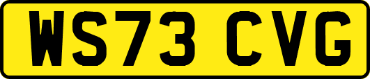WS73CVG