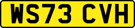 WS73CVH