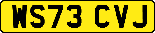 WS73CVJ