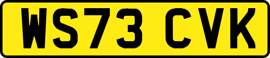 WS73CVK