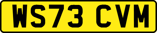 WS73CVM