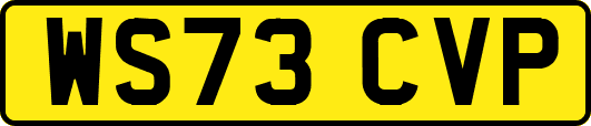 WS73CVP