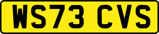 WS73CVS