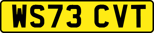 WS73CVT