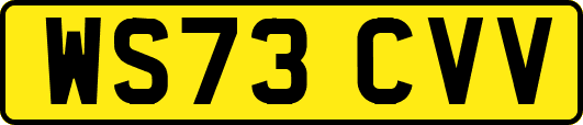 WS73CVV
