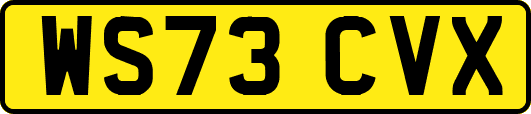 WS73CVX