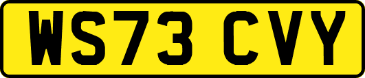 WS73CVY