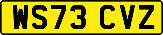 WS73CVZ