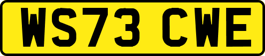 WS73CWE