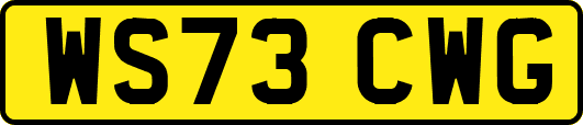 WS73CWG