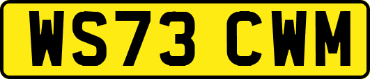 WS73CWM