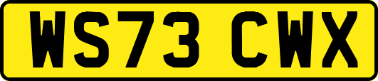 WS73CWX