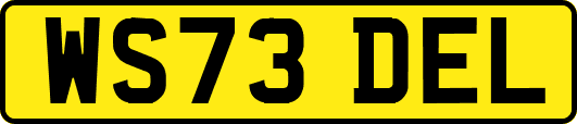 WS73DEL