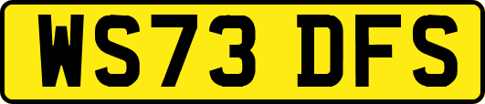 WS73DFS