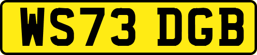 WS73DGB