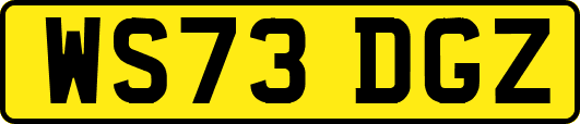 WS73DGZ