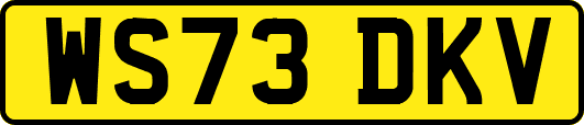 WS73DKV