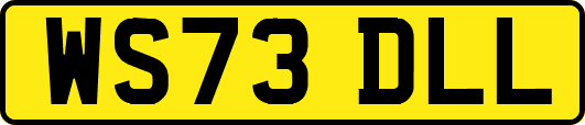 WS73DLL