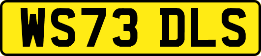WS73DLS