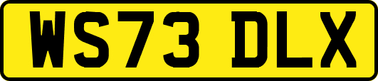 WS73DLX