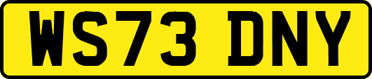 WS73DNY