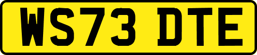 WS73DTE
