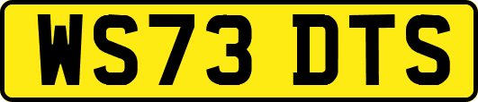 WS73DTS