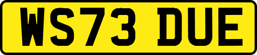 WS73DUE