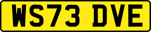 WS73DVE