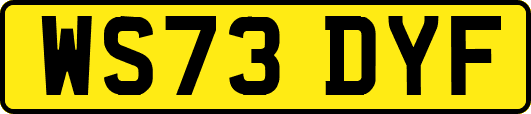 WS73DYF