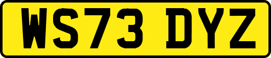 WS73DYZ