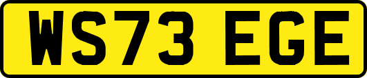 WS73EGE