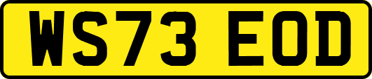 WS73EOD