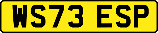 WS73ESP