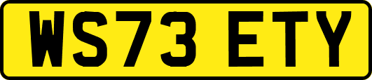 WS73ETY