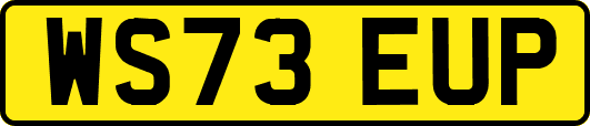 WS73EUP