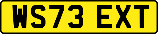 WS73EXT